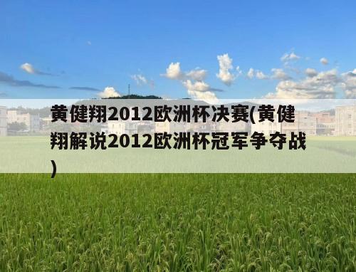 黄健翔2012欧洲杯决赛(黄健翔解说2012欧洲杯冠军争夺战)